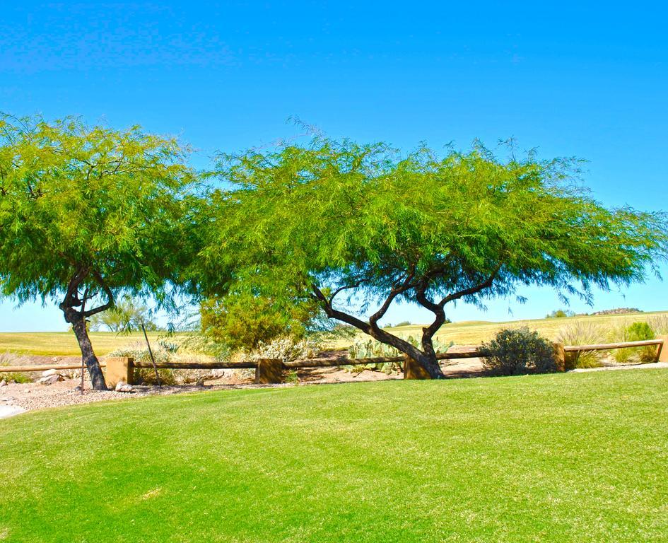 Gold Canyon Golf Resort Oda fotoğraf